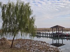 -苏州太湖湖滨国家湿地公园
