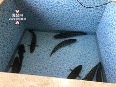 -宁记柴火灶台鱼·全鱼宴(龙源小区店)