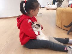 -1013 PET SHOP精品宠物商店(丁香店)