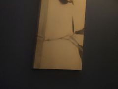 -益健·足疗汗蒸SPA(芙蓉广场店)