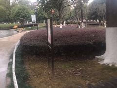 -河泥荡文化公园