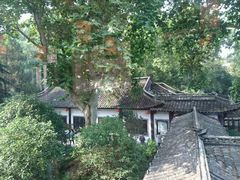 -冶春茶社(太和广场店)