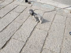 -中华圣公会教堂旧址