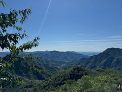 -大岭沟猕猴桃谷风景区