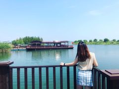-太湖湖滨国家湿地公园-停车场