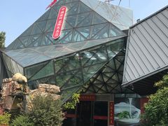 -久宴·天目湖大鱼头(恐龙园店)