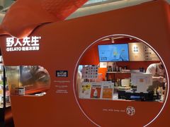 -野人先生现做冰淇淋(北京王府井东方新天地店)