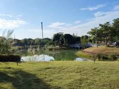 -王借岗森林公园