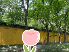 -西园戒幢律寺