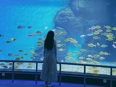 -泉城欧乐堡海洋极地世界