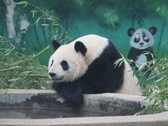 -天津市动物园