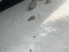 -T館·花园艺术餐厅