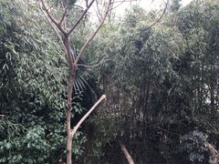 -方山风景区定林寺