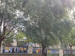 -大连市西岗区五四路小学