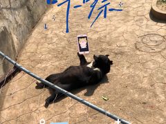 -无锡动物园·太湖欢乐园