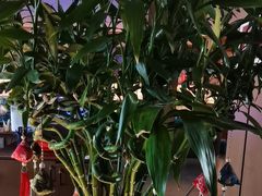 -百富源·海鲜辽菜(张士店)