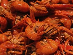 -海岛八号龙虾烧烤田鸡(蓝天路总店)