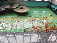 -沈阳市骨科医院
