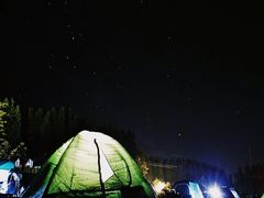 -武陵山森林公园