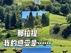 -新疆那拉提国家旅游度假区
