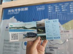 -广东惠东海龟国家级自然保护区