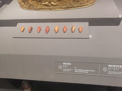 -呼和浩特博物馆