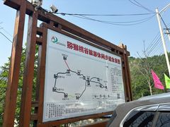 -大岭沟猕猴桃谷风景区