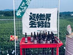 -龙坞茶村