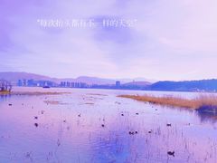 -洱海月湿地公园