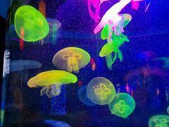 -太平洋海底世界