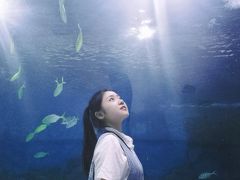 -苏州海洋馆