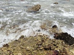 -玫瑰海岸文化旅游度假区