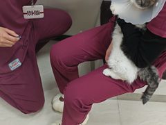 -美联众合动物医院·24h京西诊疗中心