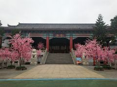 -厦门方特梦幻王国