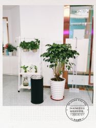 -痘院长·祛痘·皮肤管理