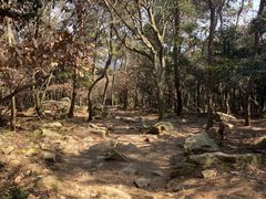 -虞山风景区
