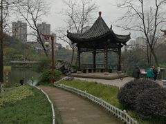 -重庆彩云湖湿地公园