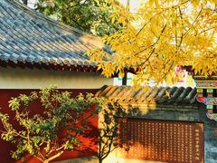 -护国法轮寺