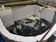 -魏铭鱼头捞饭(晋阳路店)