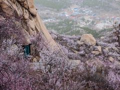 -北京凤凰岭