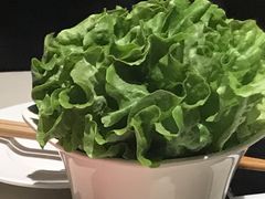 生菜-海底捞火锅(勒泰店)