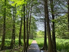 -溱湖国家湿地公园