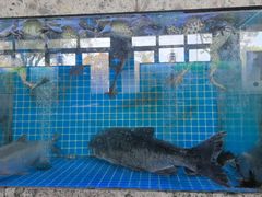 -壹只菜·崇明本地特色菜(崇明南门店)