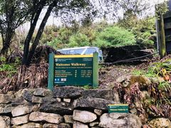 -怀托摩萤火虫洞