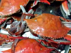 -浩运·海鲜青岛菜·海胆水饺(石老人店)