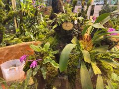 -国家植物园南园