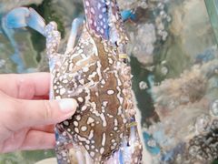 -阿弟特色海鲜餐厅·大排档(平潭店)