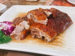 品牌靓烧鹅-九號渔港·蒸汽海鲜·粤菜茶点(八卦岭店)