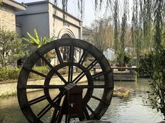 -绍兴大禹开元观堂-若耶厅