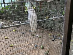 -南宫五洲植物乐园